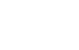 follow your spirit Logo